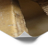 Sweet Tomcat Kitten Poster (Hoek)