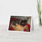 Sweet Tortoiseshell Kitten met Puppy Kaart (Voorkant)