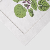 Sweet Violet Botanical Illustration 1885 Tissuepapier (Detail)