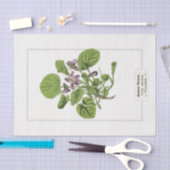 Sweet Violet Botanical Illustration 1885 Tissuepapier (Craft)