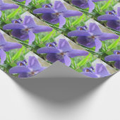 Sweet Violet Cadeaupapier (Hoek)