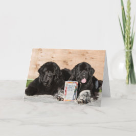Sweet welkomstwensen baby kaart met newfoundlands
