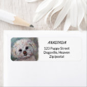 SWEET WHITE MALTESE YORKIE MIX ETIKET (Insitu)