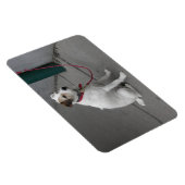 Sweet White Mongrel Magneet (Rechterzijde)