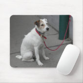 Sweet White Mongrel Muismat (Met muis)