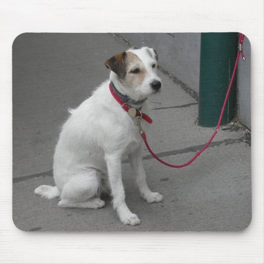 Sweet White Mongrel Muismat (Voorkant)