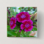 Sweet William Button (Voorkant)