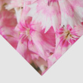 Sweet William Flowers Tissuepapier (Detail)