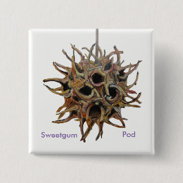 Sweetgum Pod Button