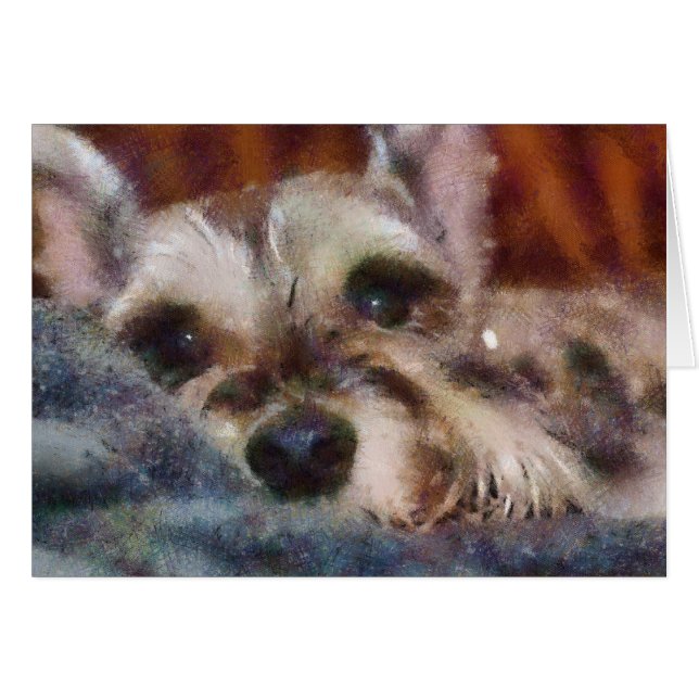 Sweetie (Voorkant Horizontaal)