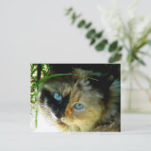 Sweetie Pie Briefkaart (Staand voorkant)