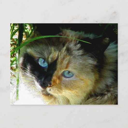 Sweetie Pie Briefkaart (Voorkant)