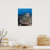 Sweetlip Fish Poster (Keuken)