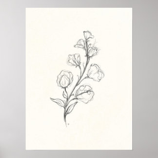  Sweetpea Print