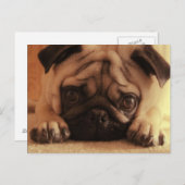 SweetPea Pugs  Briefkaart (Voorkant / Achterkant)