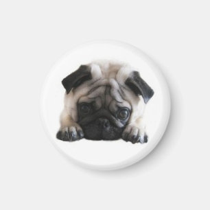 SweetPea Pugs Round Fridge Magnet Magneet