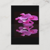 SweetPea Visitekaartje (Achterkant)