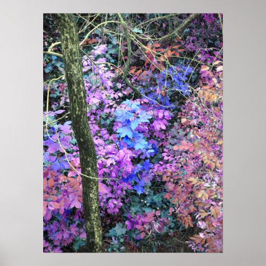 Sweets of Spring Poster (Voorkant)