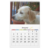 Sweety Doggie 2009 Calendar Kalender (Jan 2026)