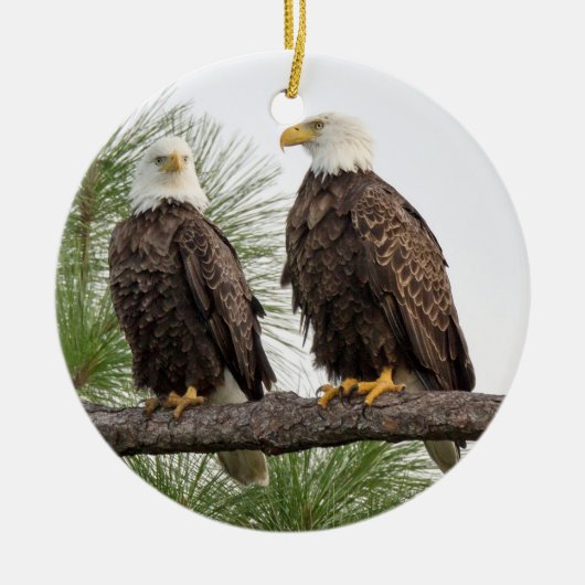 SWFEC H&O Ornament (Voorkant)