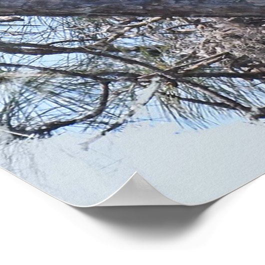 SWFL-reeks Portret E12, E13 Harriet en M15 Poster (Hoek)