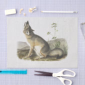 Swift Fox. Mannelijk. (Vulpes velox) Ontkoppeling  Tissuepapier (Craft)