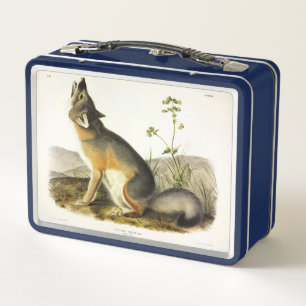 Swift Fox (Vulpes Velox) van Audubon's Quadrupeds