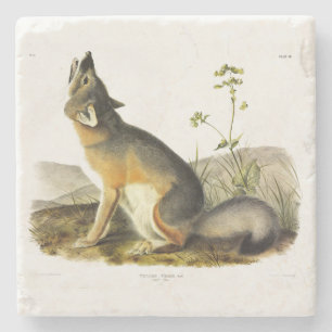 Swift Fox (Vulpes Velox) van Audubon's Quadrupeds Stenen Onderzetter