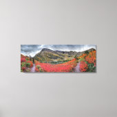 Swiftstroompas - Nationaal Park Glacier Canvas Afdruk (Voorkant)