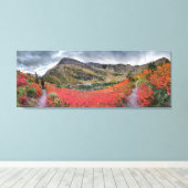 Swiftstroompas - Nationaal Park Glacier Canvas Afdruk (Insitu (Houten vloer))