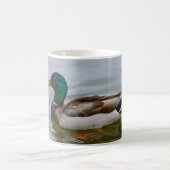 Swim Mallard Swim Coffee Mug (Centre)