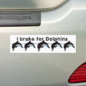 Swim met dolfijnen bumpersticker (Op auto)