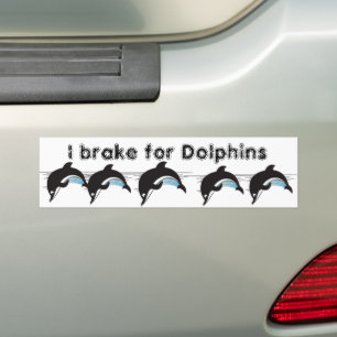 Swim met dolfijnen bumpersticker