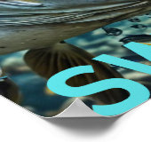 Swim !! poster (Hoek)