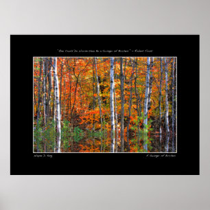 Swinger of Birches Poster