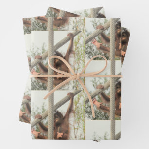 Swinging Baby orang-oetan alle gelegenheden Inpakpapier Vel