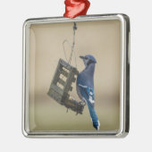 Swingle Blue Jay Metalen Ornament (Links)