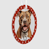 SWIPE DROITE - Voir retour ... Ornement (devant)