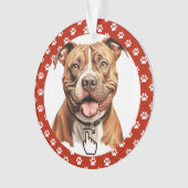 SWIPE DROITE - Voir retour ... Ornement (devant)