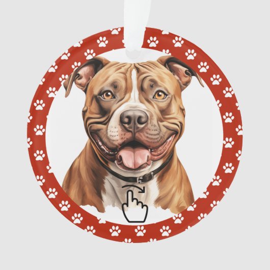 SWIPE DROITE - Voir retour ... Ornement (devant)