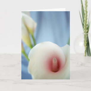 Swirl Lily Flower Wenskaart Kaart