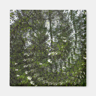 Swirling Dogwoods... Magneet