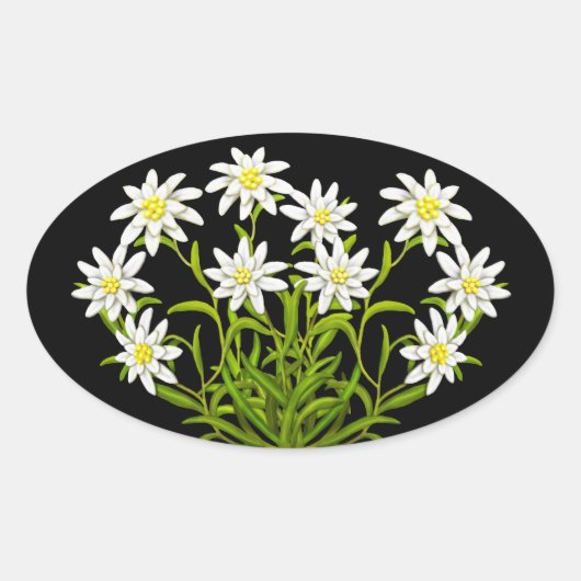 Swiss Edelweiss Flowers Bouquet Sticker (Voorkant)