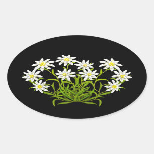 Swiss Edelweiss Flowers Bouquet Sticker