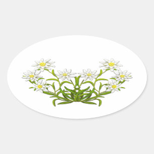 Swiss Edelweiss Flowers Sticker
