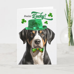 Swiss Mountain Dog Feelin' Lucky St Patrick's Day Feestdagen Kaart