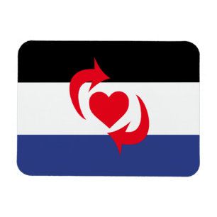SWITCH PRIDE FLAG MAGNEET