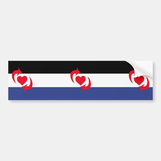 Switch Pride Vlag Bumpersticker (Voorkant)