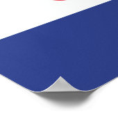 Switch Pride Vlag Poster (Hoek)
