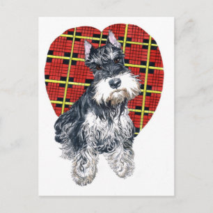 Sybil la carte postale Schnauzer